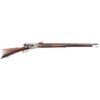 Image 1 : Montierwerkstatte Bern 1871 Vetterli .41 RF