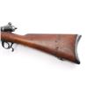 Image 3 : Waffenfabrik Bern M 81 Vetterli .41 Swiss