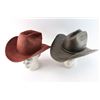 Image 2 : Lot of 2 Cowboy Hats