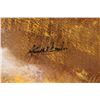 Image 2 : Painted Cowhide.