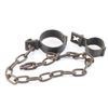 Image 1 : Kelly Family Shackles