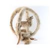 Image 2 : Wolf Dream Catcher
