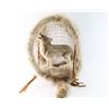 Image 3 : Wolf Dream Catcher