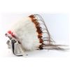 Image 2 : Modern Indian Headdress.