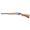 Image 2 : Winchester Model 190 .22 L/LR #B1534520