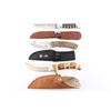 Image 1 : Lot of 3 Fixed Blade Knives