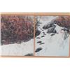 Image 2 : Lot of 2 Bev Doolittle Prints