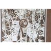 Image 2 : Bev Doolittle Signed/Numbered Print.