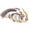 Image 1 : Collection of 10 Powder Horns.