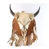 Image 1 : Bison Skull Mount