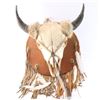 Image 3 : Bison Skull Mount
