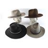Image 3 : Lot of 4 Cowboy Hat