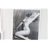 Image 3 : Marilyn Monroe Photos