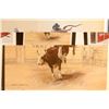 Image 2 : Lot of 2 Carlos Hadaway Signed Prints.