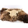 Image 1 : Fragmenting Buffalo Hide.