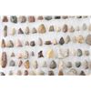 Image 2 : Large Collection of Arrow Points