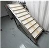 Image 1 : Food Grade Lift Flight Conveyor w/ Manual Speed Adjustment 230V 3PH, 24" x 54"H