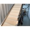 Image 4 : Food Grade Lift Flight Conveyor w/ Manual Speed Adjustment 230V 3PH, 24" x 83"H