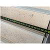Image 9 : Food Grade Lift Flight Conveyor w/ Manual Speed Adjustment 230V 3PH, 24" x 83"H