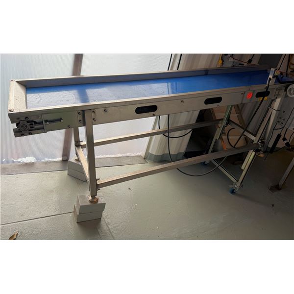 Food Grade 10CB-2 Sort Conveyor 10'L x 28"W