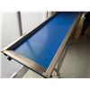 Image 2 : Food Grade 10CB-2 Sort Conveyor 10'L x 28"W