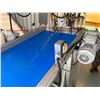 Image 3 : Food Grade 10CB-2 Sort Conveyor 10'L x 28"W