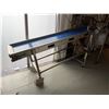 Image 7 : Food Grade 10CB-2 Sort Conveyor 10'L x 28"W