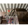 Image 6 : Stainless Auger Feeder