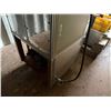 Image 9 : Stainless Auger Feeder