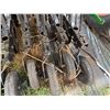 Image 19 : Great Plains 3P606NT 3-Point Mounted No-Till GrainDrill