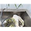 Image 2 : Produce Sanitizer Tank w/ Strainer Dump