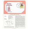 Image 1 : Central African Republic - International Tributes to America's Bicentennial FDC