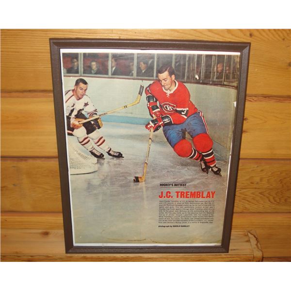Framed Vintage Newsprint JC Trembley