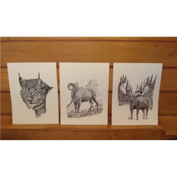 3 Wildlife Prints  12x9 Inches