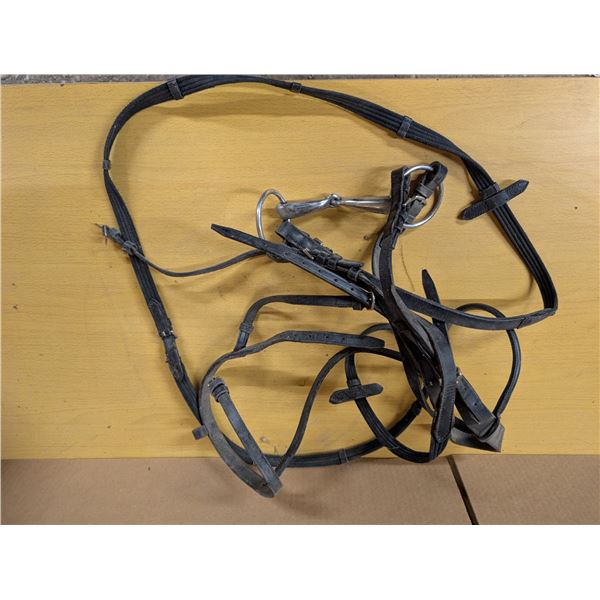 Horse bridle