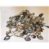 Image 2 : SOUVENIR SPOONS