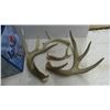 Image 2 : 298: Small pliable cooler, good condition and 2 sets of deer sheds.