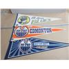 Image 1 : 3 NHL Banners- Blues, 2 Differemnt Oilers