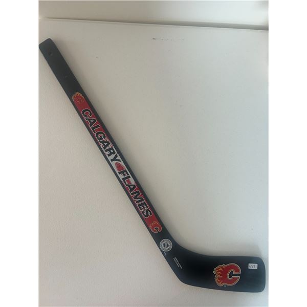 Calgary Flames - Mini-Stick