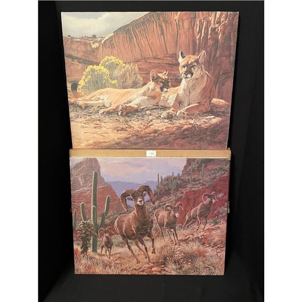 Lot of 2 Vintage Canvas Paintings w Original Packaging. Mountain Lion/Bighorn Sheep.16"highx 20" wid