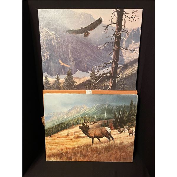Lot of 2 Vintage Canvas Paintings w Original Packaging. Elk/Golden Eagle. 16" high x 20" wide.