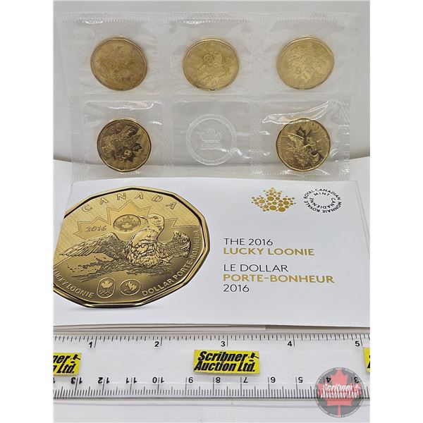 RCM Canada 2016 : $1 Circulation Coin : Lucky Loonie Five Coin Pack