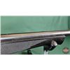 Image 9 : RIFLE: Mossberg 22LR : Model 702 Plinkster : Semi-Auto (c/w Extra Magazine) (BBL 18") (S/N#EGK313609