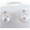 Image 2 : 14K  Pearl And Diamond  0.02Ct Earrings