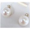 Image 3 : 14K  Pearl And Diamond  0.02Ct Earrings