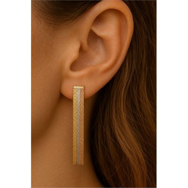 Silver Tri Color  Earrings