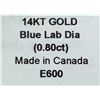 Image 4 : 14K LAB BLUE DIAMOND (0.8ct) EARRING