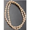 Image 1 : SILVER FRESH WATER PEARL NECKLACE 14"
