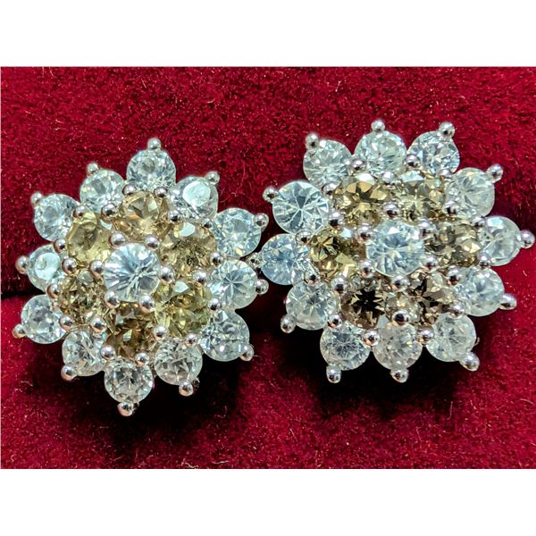 SILVER (4.8g) SMOKEY QUARTZ (APP 1ct) EARRING