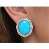 Image 1 : SILVER (3.8g) SLEEP BEAUTY TURQUOISE (APP 10ct) EARRING